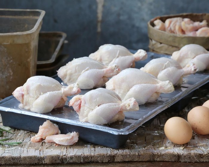 Quality-checked poultry ready for distribution